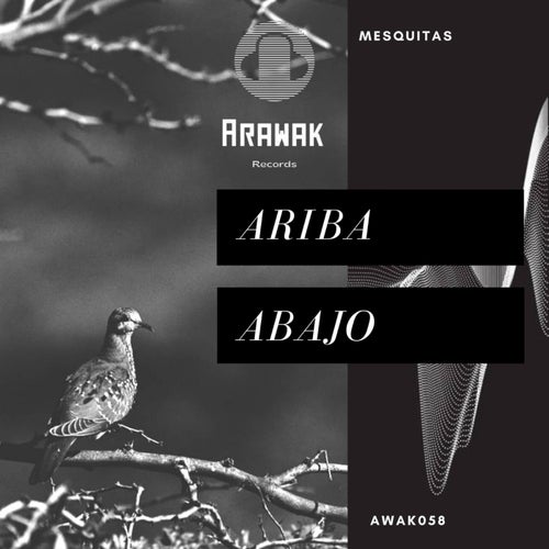 Mesquitas - Ariba Abajo [AWAK058]